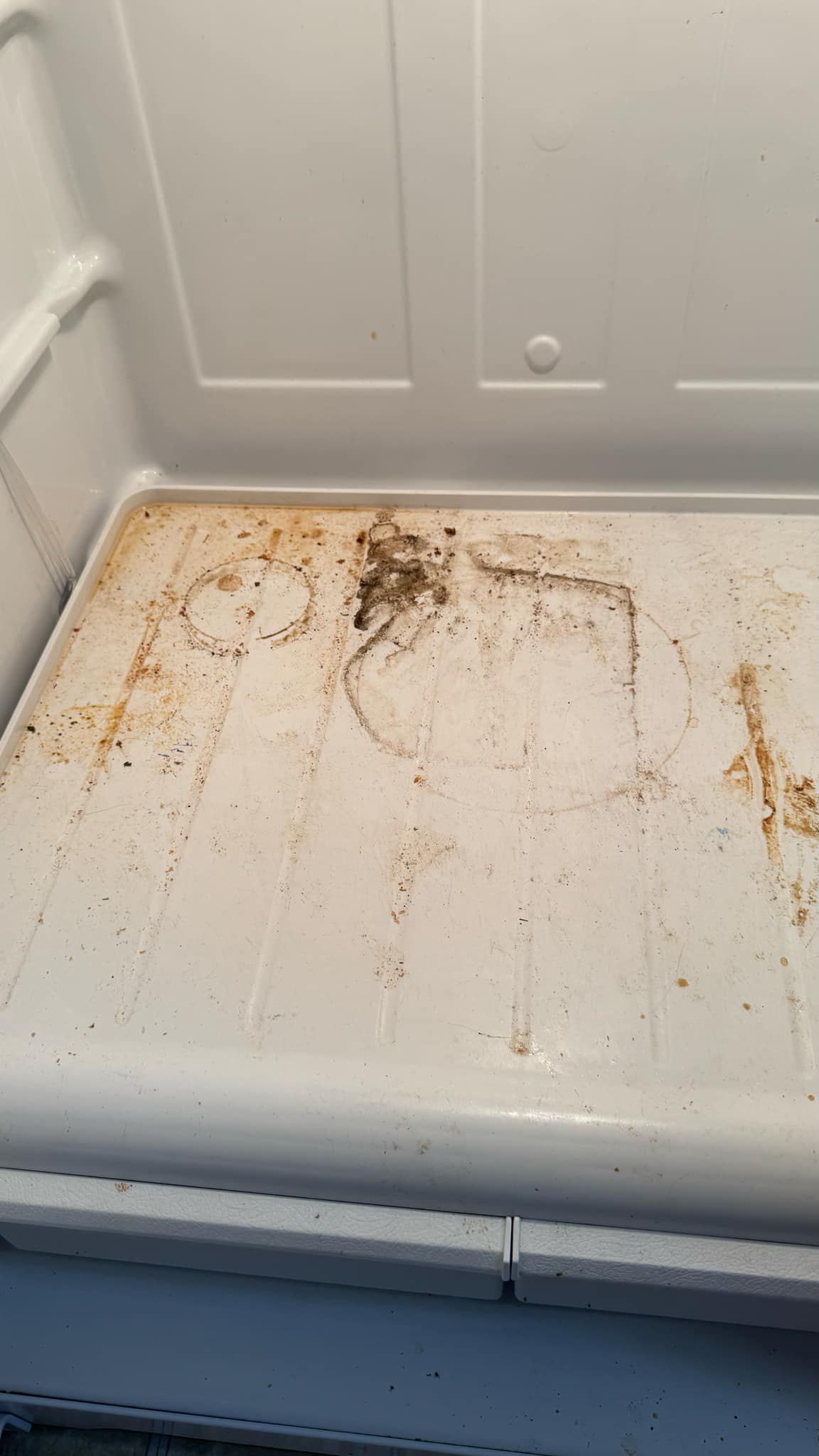 WhatsApp Image 2025-05-27 at 20.29.47 (2) WhatsApp Image 2025-05-27 at 20.29.47 (2)