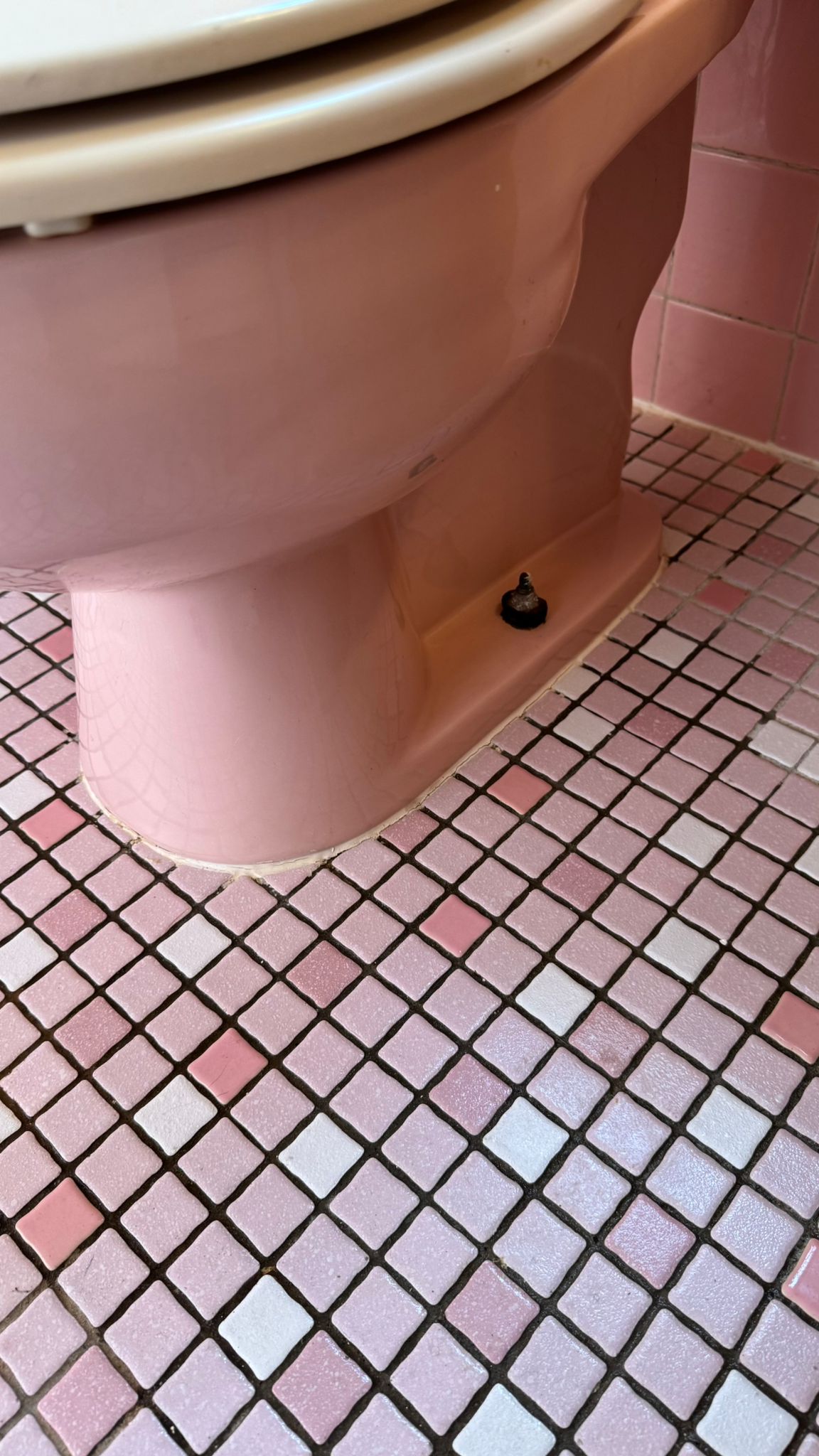 WhatsApp Image 2025-05-27 at 20.29.48 (1)