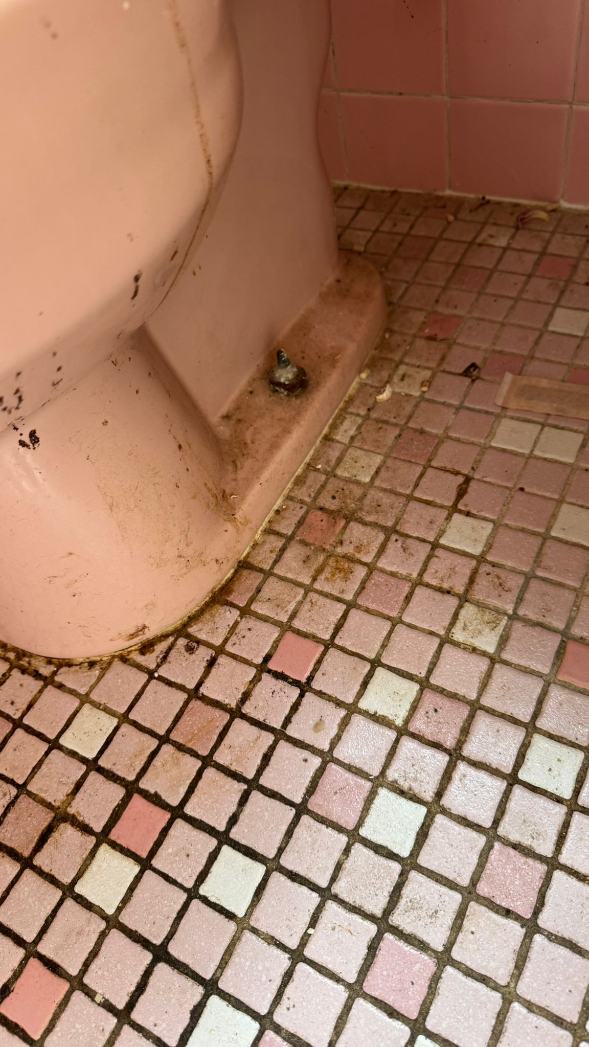 WhatsApp Image 2025-05-27 at 20.29.48 WhatsApp Image 2025-05-27 at 20.29.48