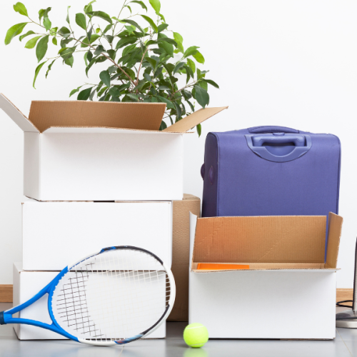 Design sem nome - 2024-08-08T142818.134